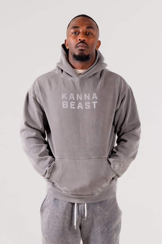 Metallic Hoodie